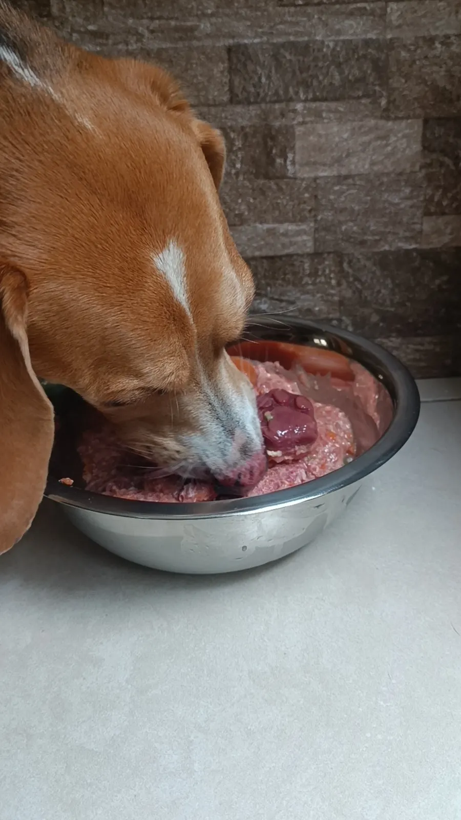 Comida natural BARF de CRUBO a domicilio en Quito
