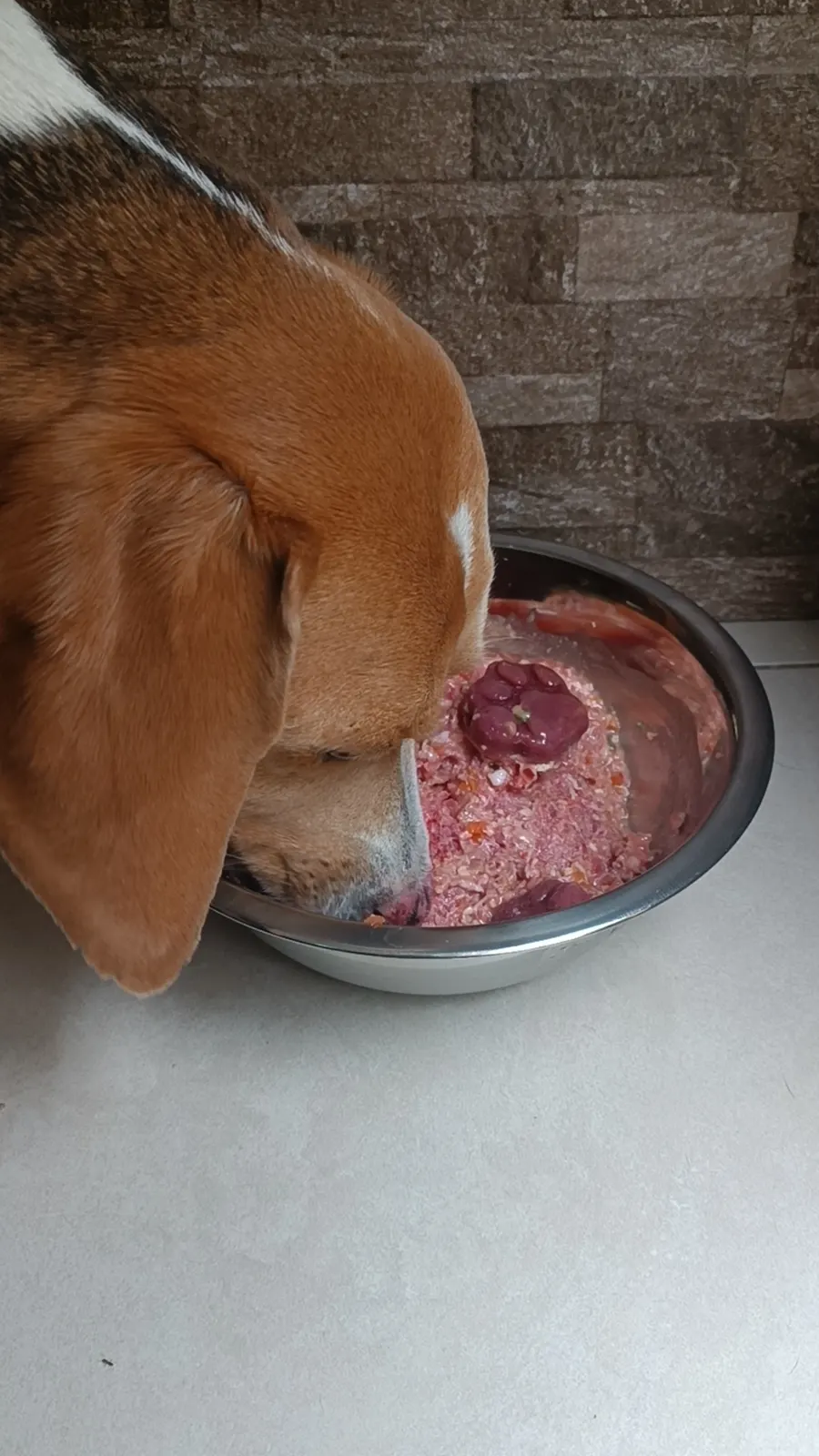 Comida natural BARF de CRUBO a domicilio en Quito