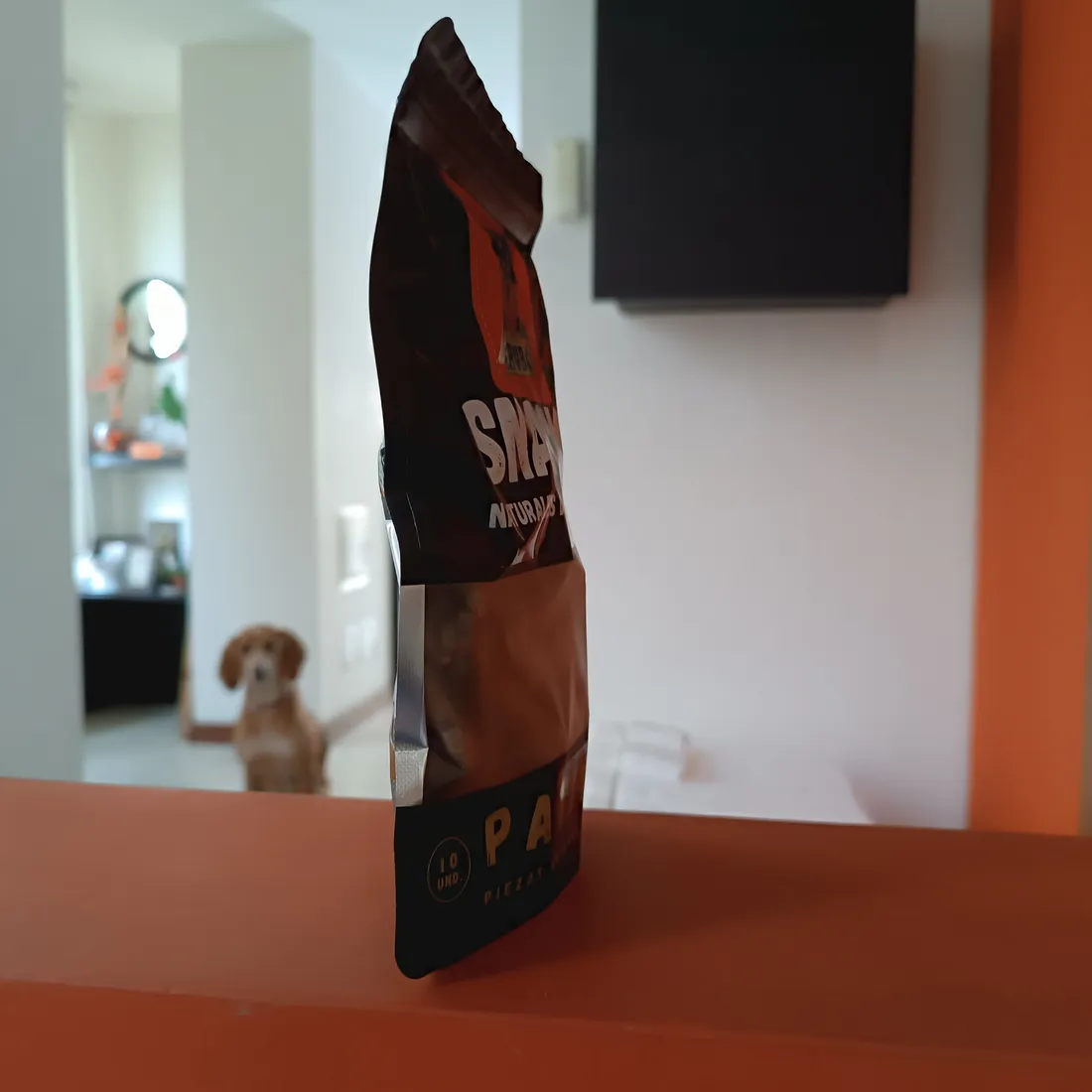¿Dieta BARF para tu perro en Cumbayá sin cargar fundas por la Ruta Viva?